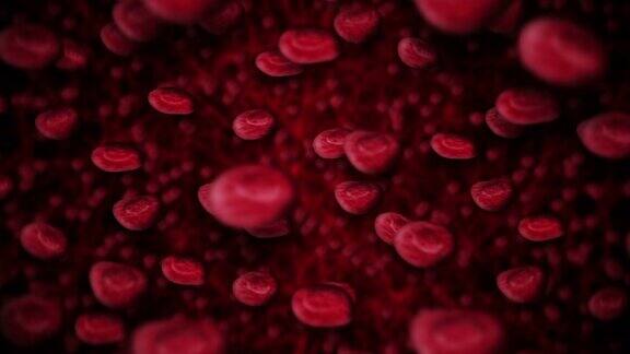 红细胞在血液中漂浮在血管中循环医学概念3D绘制静脉和动脉卫生保健循环动画