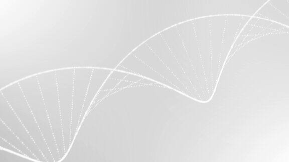 4KDNA逐渐瓦解抽象的医学动画染色体科学健康实验