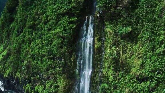 惊人的热带雨林海岸线瀑布