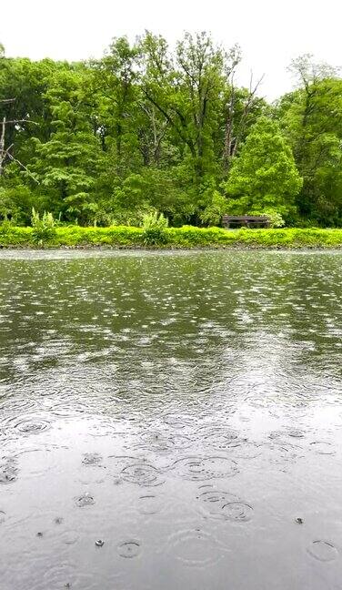 湖上的雨与绿色背景