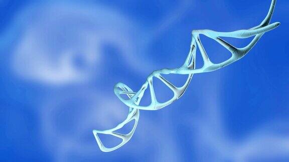 DNA分子基因分离