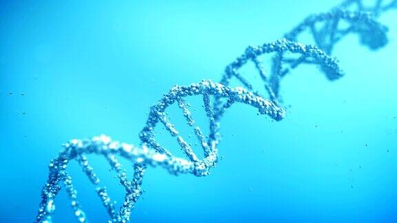 DNA放大和缩小(蓝色)-环