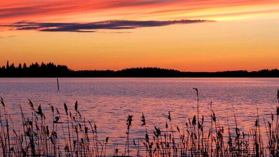 波特尼亚湾背景上的深红落日