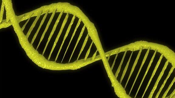 黄色螺旋状的人类DNA结构DNA链DNA分子矢量图