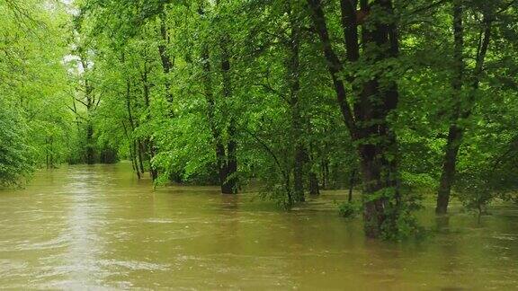 下雨天从空中穿越被洪水淹没的绿色森林