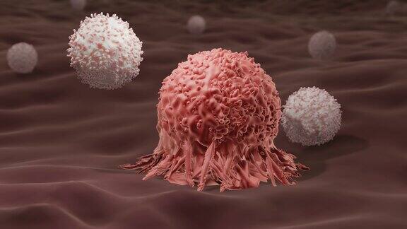 t细胞攻击癌细胞