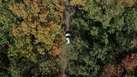 空中鸟瞰图白色汽车行驶在森林的乡村道路上