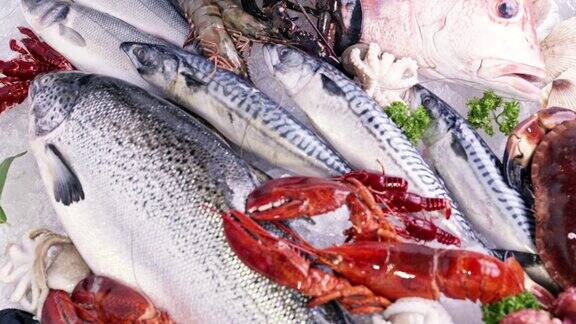4K高清倾斜:各种豪华新鲜海鲜龙虾鲑鱼鲭小龙虾虾章鱼贻贝和扇贝在冰背景与冰冻的冰烟鲜冻海鲜和零售市场概念