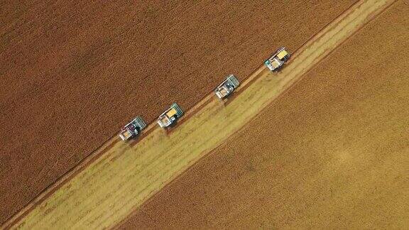 无人机空中俯视图联合收割机操作在茉莉稻田粮食或农业