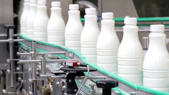 白色塑料奶瓶的镜头在生产线上分拣和前进在牛奶公司被处理