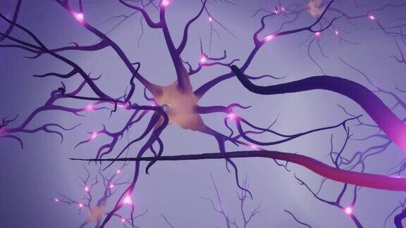 在神经网络中的神经元间飞行3D动画