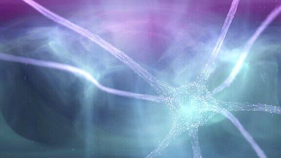 大脑中的神经元细胞动画