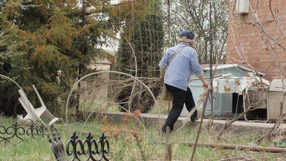 一位老妇人在花园后院春季劳作时搬运锯过的树枝