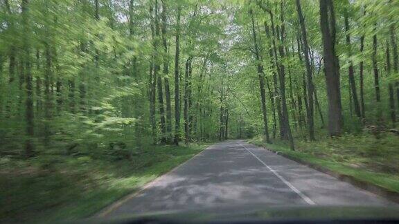 弯曲的森林路