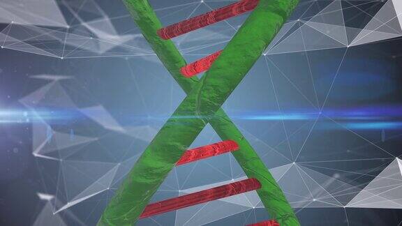 用于生物技术基因医学工程的干细胞DNA螺旋分子