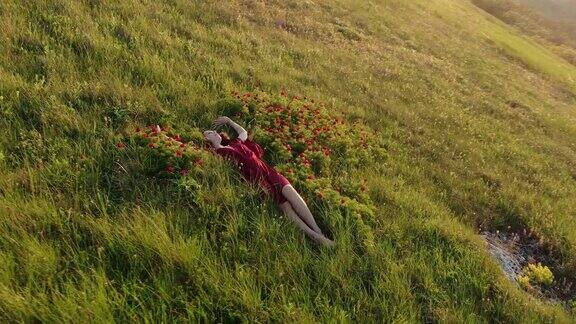 一个慢动作屏幕保护程序一个年轻美丽的女人在一个红色的裙子躺在红色的野生牡丹草地的鸟瞰图