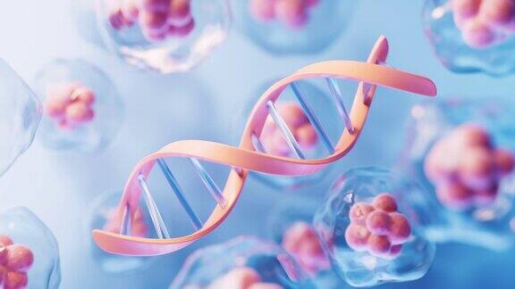DNA生物结构和透明细胞3d渲染