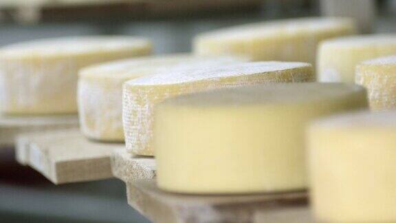 聚焦和模糊镜头的奶酪在酿酒厂