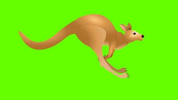 袋鼠跑循环动画