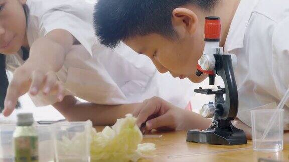 亚洲儿童穿着实验服用显微镜做科学实验在家学校实验室教育生活理念