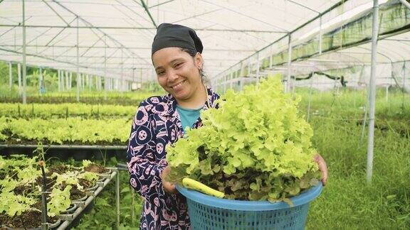 亚洲妇女在温室里种苗