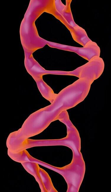 绿色屏幕上的DNA分子动画生物技术、生物化学、遗传学和医学概念DNA链3d动画垂直视频