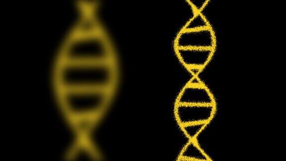 二维动画的两个DNA组成的粒子在一个黑色的背景60fps物体是垂直的焦点从前面移到后面