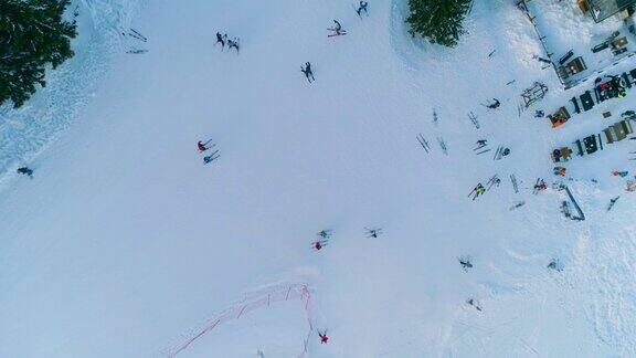 无人机拍摄的滑雪者和滑雪板切割粉状雪在4k帧60fps