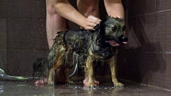 一个女人在洗澡时给狗洗澡