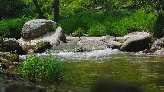 瀑布小溪在绿色的森林里美丽的小溪在雨林