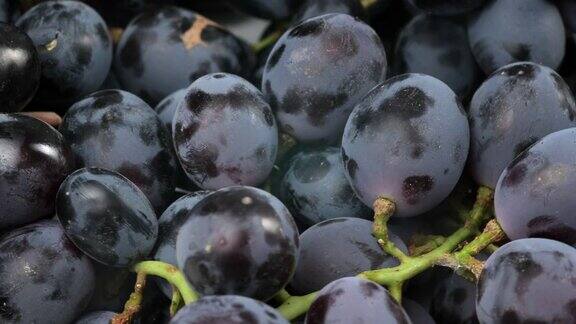 一串串成熟的蓝葡萄水果轮番