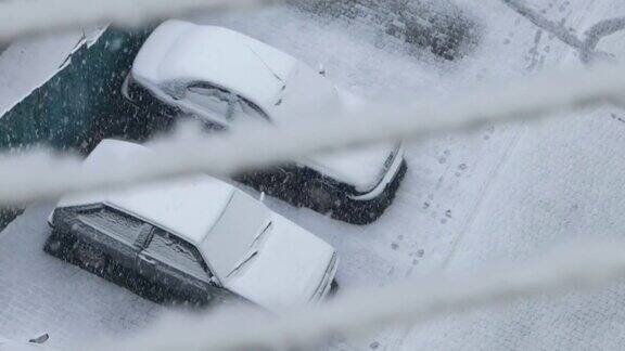 从窗户看到院子里飘落的雪