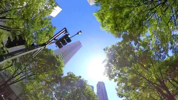 商业区摩天大楼绿树抬头看看天空
