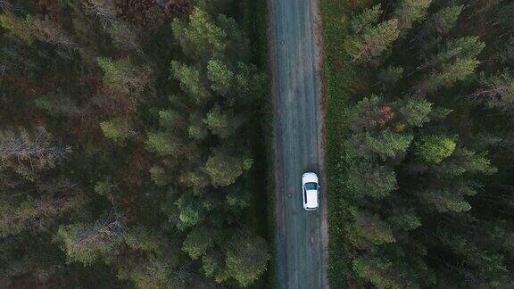航拍的汽车行驶在道路上松树林无人机拍摄砾石路和树木后面跟着一辆白色汽车