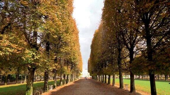 秋天的景色林荫长廊在卢森堡公园法国巴黎