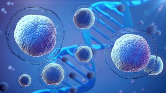 三维动画人类细胞或胚胎干细胞显微镜背景