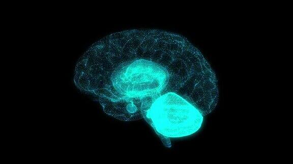 AI(人工智能)概念人类的大脑