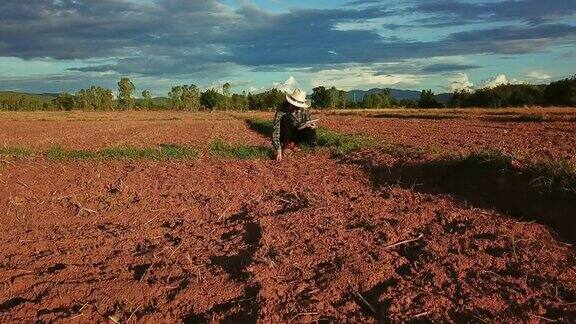 农民妇女用数字平板检查有机土壤农业稻田梯田小麦田在夏季旱季