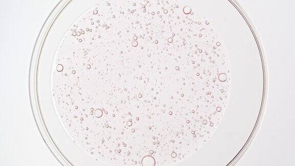 透明的化妆品粉色凝胶液与分子气泡油在培养皿中扩散天然有机化妆品医药的宏观镜头生产特写慢动作