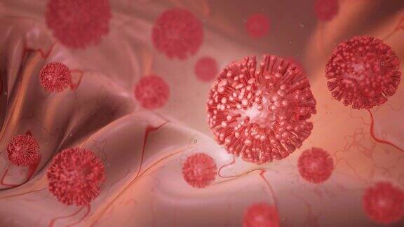人类细胞或冠状病毒