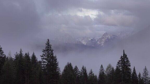 高山阿尔卑斯山景观与树木在雾云