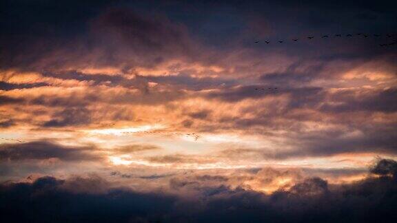候鸟在日落的天空中飞翔