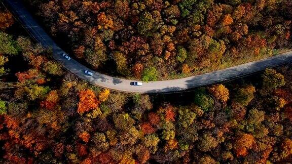 乡村道路在阳光明媚的秋天森林