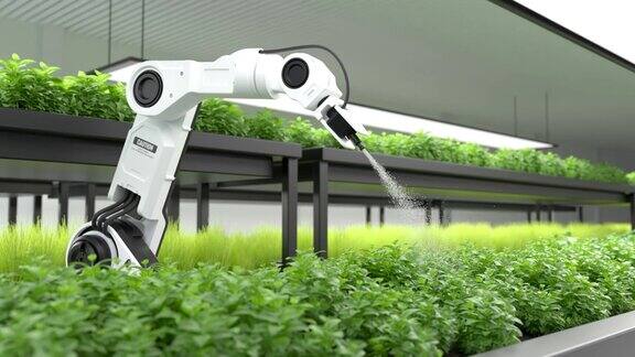 智能农民机器人喷洒蔬菜绿色植物农场自动化