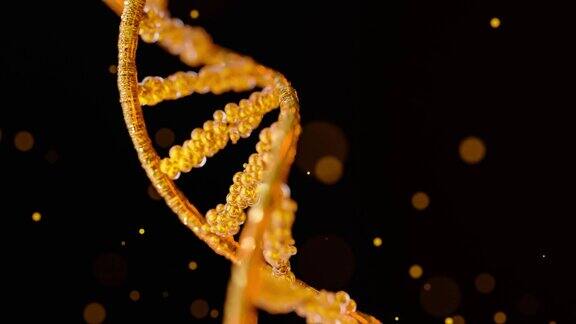 从粒子中提取金DNA分子设计在高级血统或稀有物种