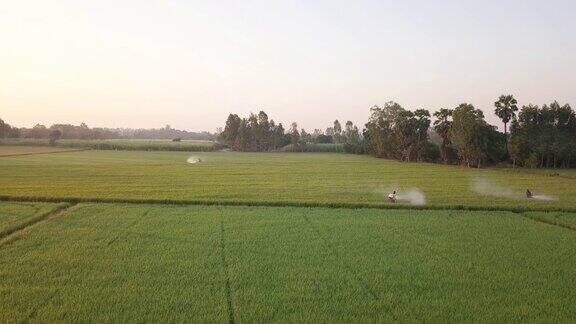 鸟瞰图农民正在田间使用喷雾器