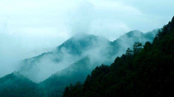 有雾的山地景观