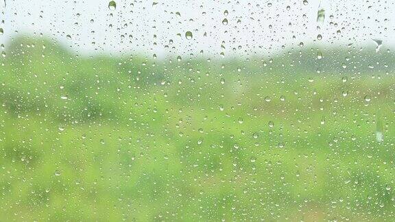 4K雨滴落在窗户上