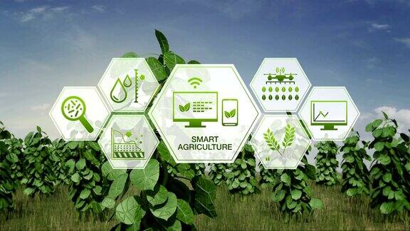 智慧农业智慧农业六边形植物绿地信息图形图标物联网第四次工业革命4k大小