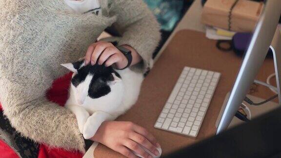 一位女士一边用电脑一边抚摸着一只猫